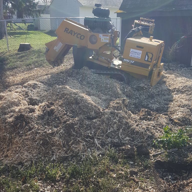 Removing 2 pine stumps in Northfield, Ohio