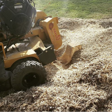 Summit county stump grinding